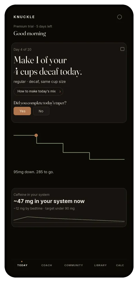 Knuckle app dashboard: today's whole-cup target, the taper curve, and caffeine left in your system